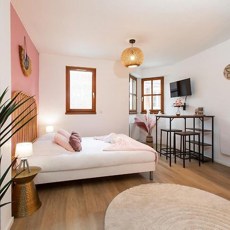 Nouveau - Le Discovery - Petite Venise Colmar Kültér fotó