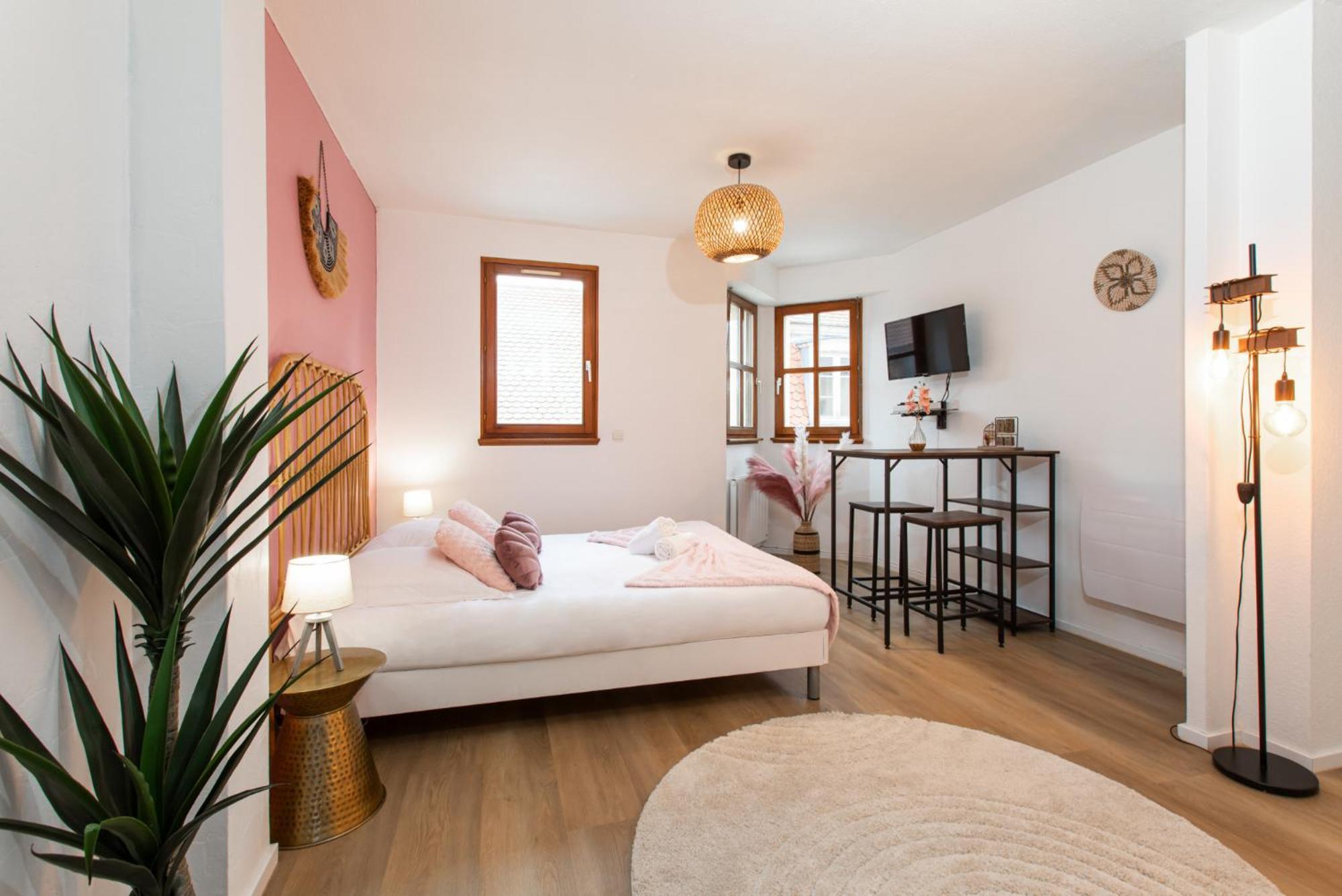 Nouveau - Le Discovery - Petite Venise Colmar Szoba fotó